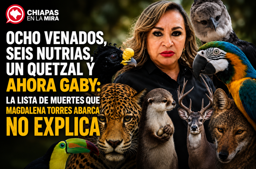  GABY SE MURIÓ CO